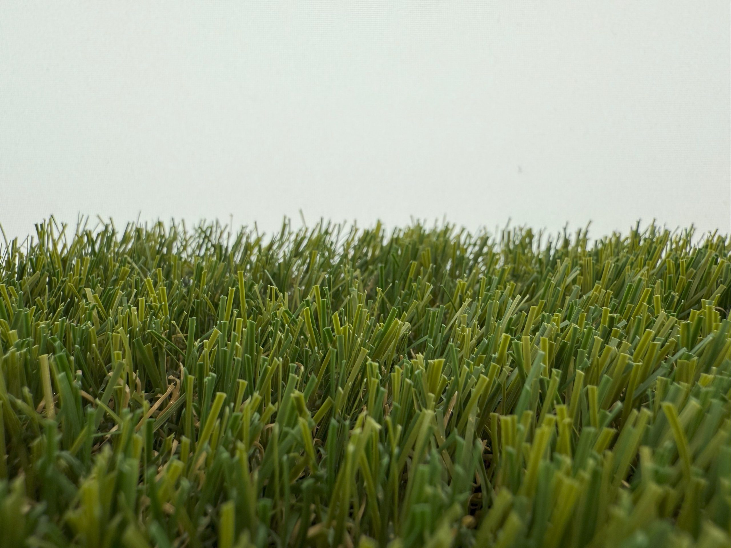 Artificial Grass
